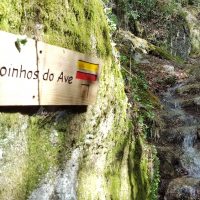 Galeria de Fotos - Freguesia de Rossas