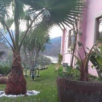 Galeria de Fotos - Quinta das Três Fontes