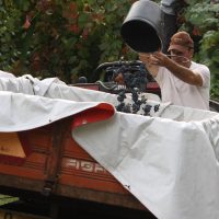 Galeria de Fotos - Quinta de Calvelos