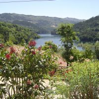Galeria de Fotos - Quinta do Negral