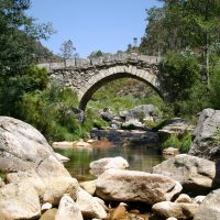 Galeria de Fotos - Freguesia de Rossas