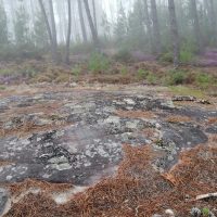 Galeria de Fotos - Penedo da Pegadinha