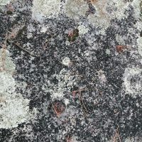 Galeria de Fotos - Penedo da Pegadinha