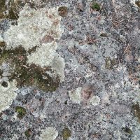 Galeria de Fotos - Penedo da Pegadinha