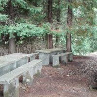 Galeria de Fotos - Roteiro Parques de Merendas