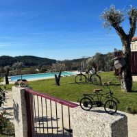 Galeria de Fotos - Quinta das Carvoeiras