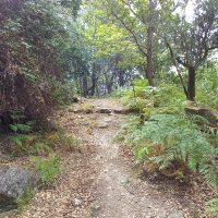Galeria de Fotos - Venha descobrir os segredos de Ruivães!
