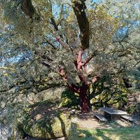 Galeria de Fotos - Fim de Semana de descoberta e sabores em Vieira do Minho