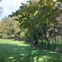 Galeria de Fotos - Caminhada de outubro inserida no projeto “A Serra da Cabreira em família” | 25 de outubro
