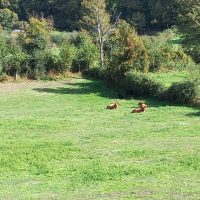 Galeria de Fotos - Caminhada de outubro inserida no projeto “A Serra da Cabreira em família” | 25 de outubro